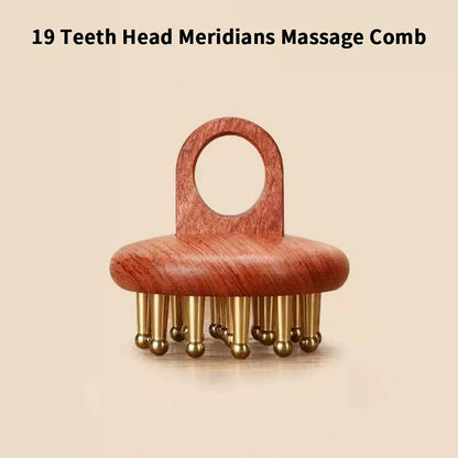 Head Meridians Massage Comb